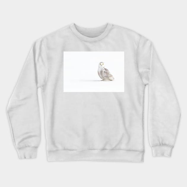 Cast a shadow - Snowy Owl Crewneck Sweatshirt by Jim Cumming